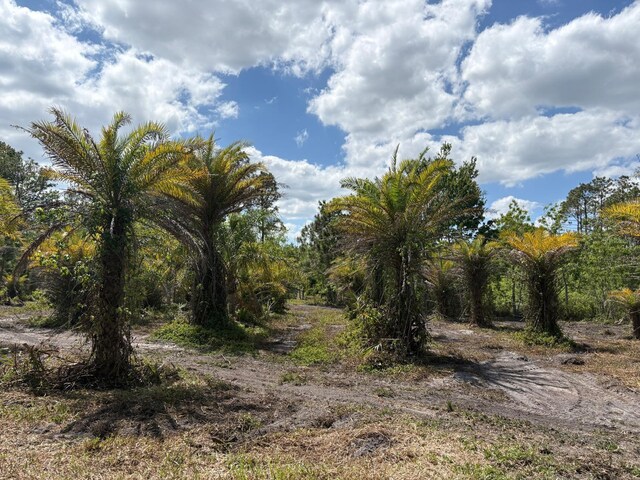 2615 Glencoe Farms Rd, New Smyrna Beach, FL 32168