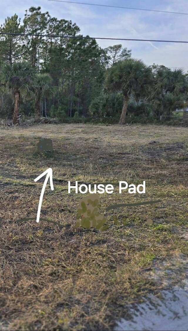 2615 Glencoe Farms Rd, New Smyrna Beach, FL 32168