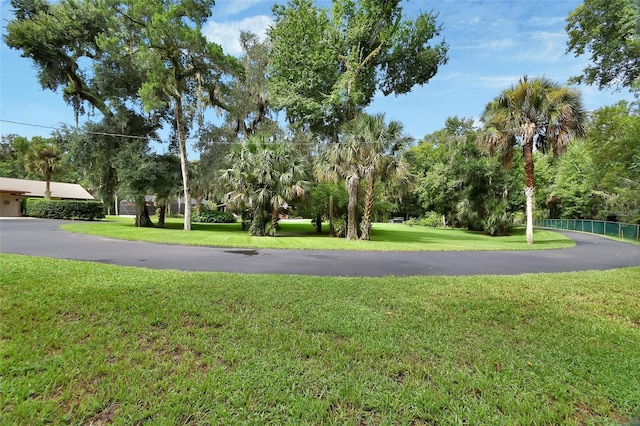 view of yard with driveway