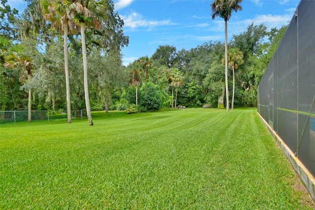 view of yard featuring a lanai