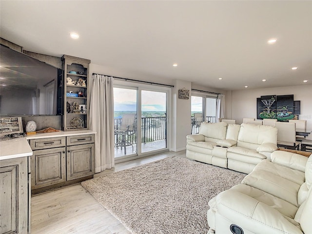 living room featuring light hardwood / wood-style flooring