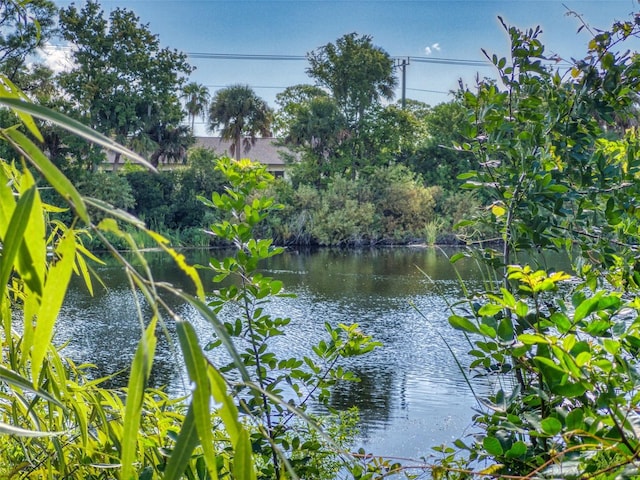 property view of water