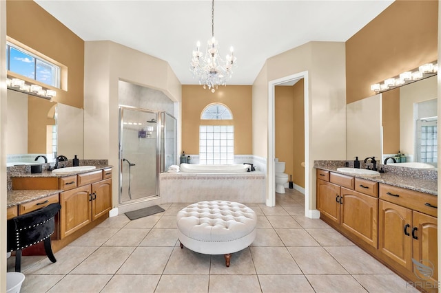 full bathroom featuring a sink, a shower stall, and plenty of natural light