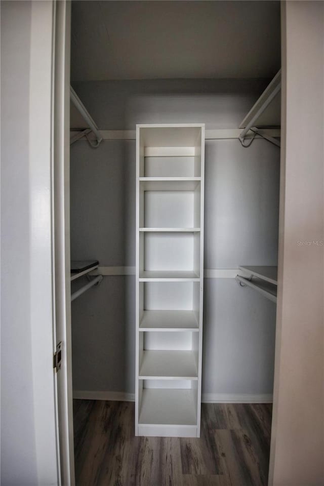 spacious closet with wood-type flooring