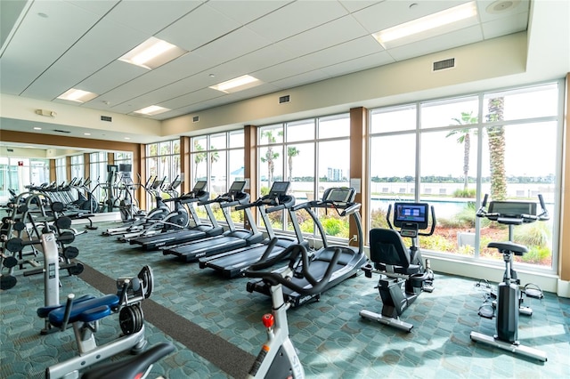 workout area featuring a wealth of natural light and carpet