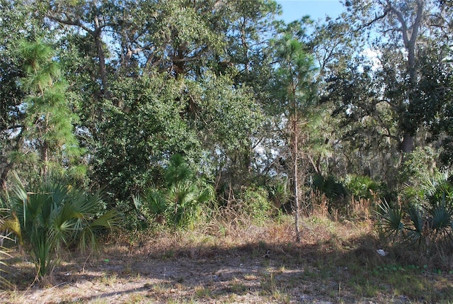 S Ridgewood Ave, Edgewater FL, 32141 land for sale