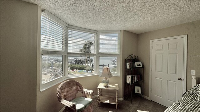 living area featuring dark carpet and a textured ceiling