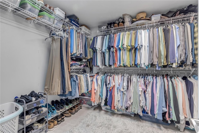 view of spacious closet