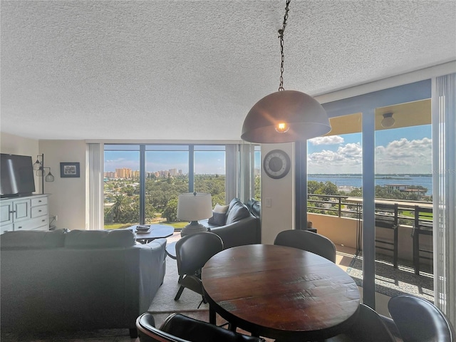 dining space featuring a textured ceiling, a water view, and plenty of natural light