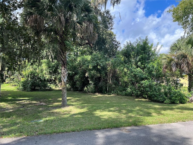 2942 Woodland Dr, Edgewater FL, 32141 land for sale