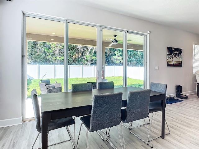 dining room with ceiling fan and light hardwood / wood-style flooring