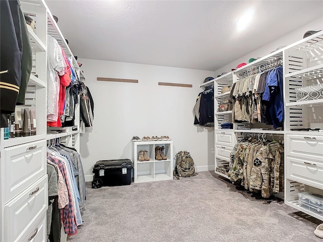 spacious closet featuring carpet