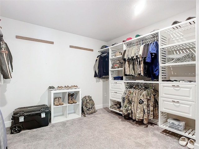 walk in closet with carpet floors