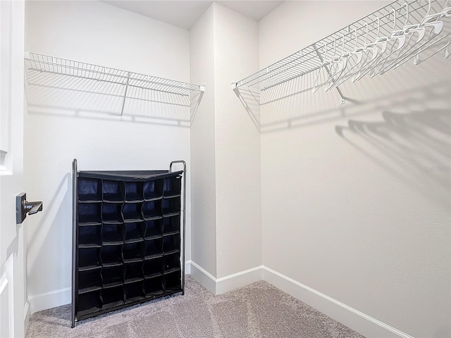 walk in closet featuring carpet floors