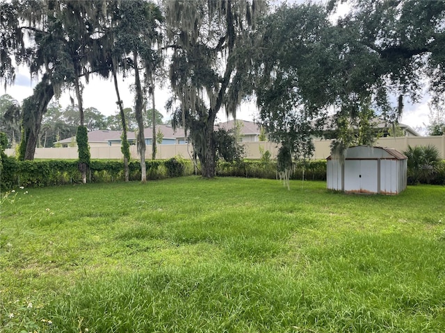 view of yard with a storage unit