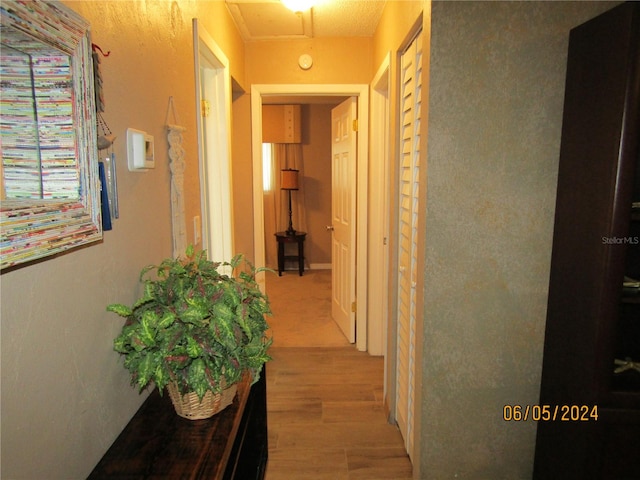 hall featuring light hardwood / wood-style flooring