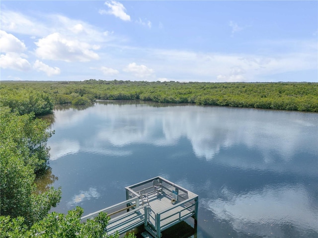 view of water feature