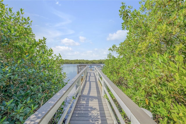 dock area with a water view