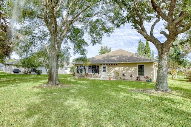 back of house featuring a yard