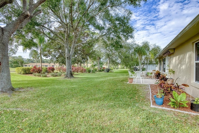 view of yard featuring a patio area