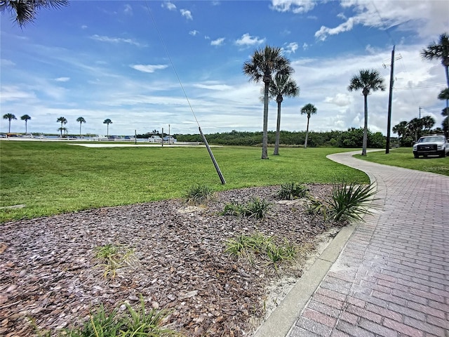 view of home's community featuring a lawn