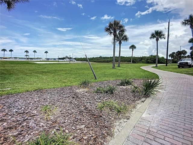 113 Neptune Dr, Edgewater, FL 32132 - view of home's community featuring a yard