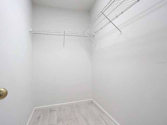 walk in closet featuring light hardwood / wood-style flooring