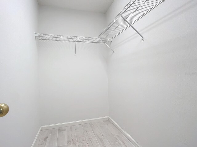 679 Mount Olympus Blvd, New Smyrna Beach, FL 32168 - spacious closet with light wood-style floors