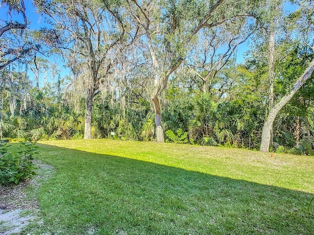 679 Mount Olympus Blvd, New Smyrna Beach, FL 32168 - view of green lawn