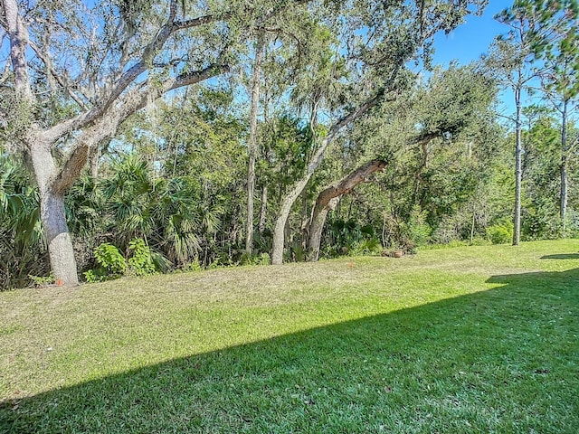 679 Mount Olympus Blvd, New Smyrna Beach, FL 32168 - view of green lawn