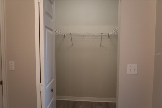 walk in closet featuring hardwood / wood-style flooring