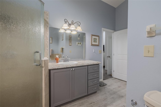 bathroom with walk in shower, hardwood / wood-style floors, vanity, and toilet