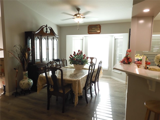 dining room featuring ceiling fan, hardwood / wood-style flooring, and plenty of natural light