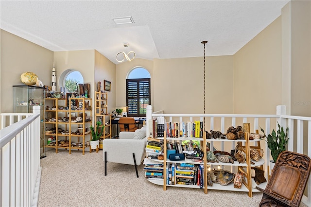 interior space with carpet flooring and a textured ceiling