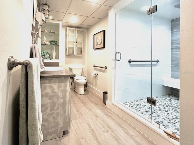 5207 S Atlantic Ave Unit 0622, New Smyrna Beach, FL 32169 - full bath with vanity, toilet, wood finished floors, and a stall shower