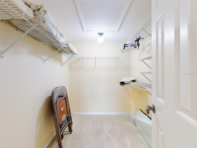 spacious closet with light colored carpet