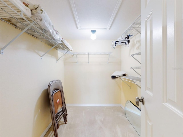 452 Bouchelle Dr Unit 303, New Smyrna Beach, FL 32169 - spacious closet featuring carpet flooring