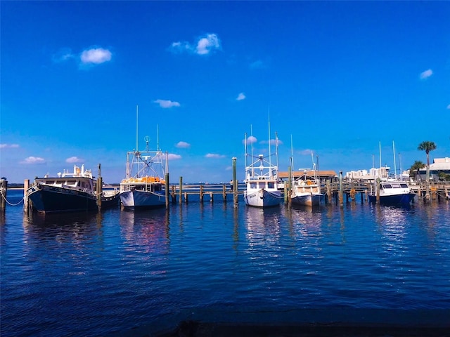 dock area with a water view