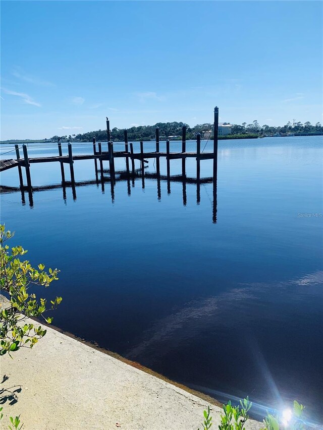 5952 S Riverside Dr, Port Orange, FL 32127 - photo 5
