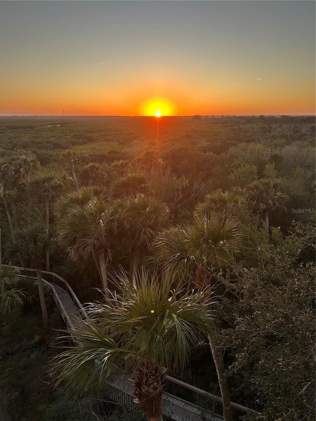 view of nature at dusk