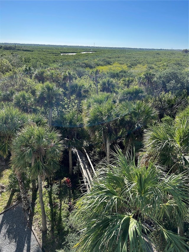 view of local wilderness