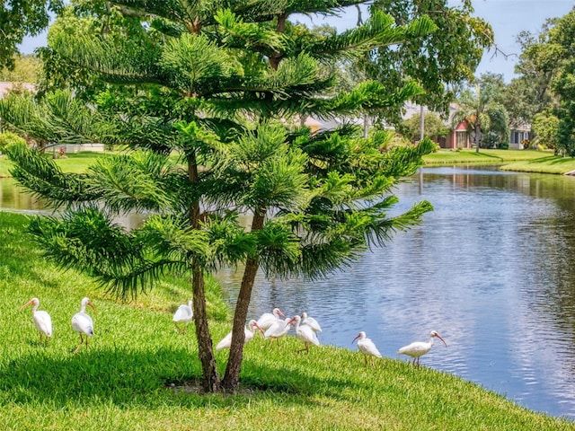 view of water feature