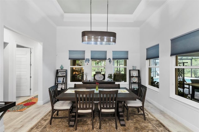 dining area with hardwood / wood-style floors, a raised ceiling, and plenty of natural light