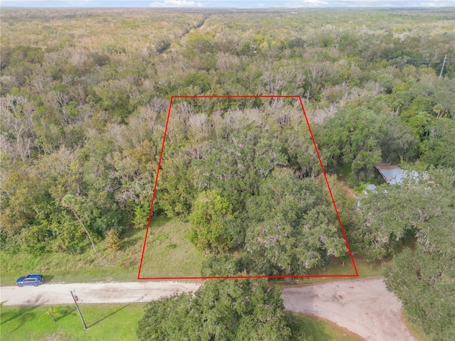 3095 Log Cabin Ln, Edgewater FL, 32132 land for sale