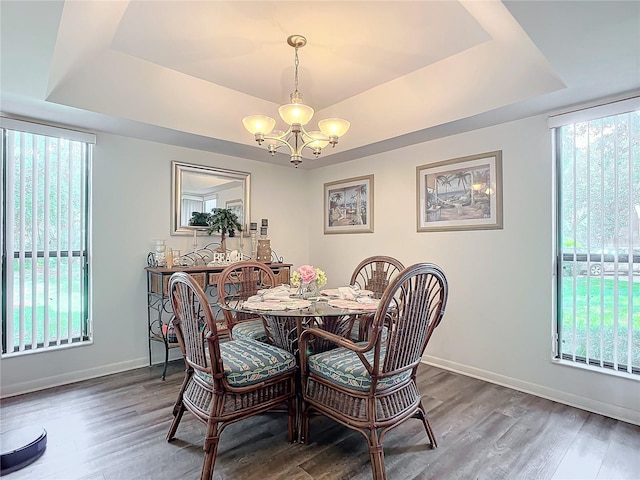 dining room with a tray ceiling, a healthy amount of sunlight, and dark hardwood / wood-style floors