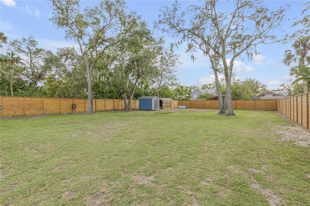 view of yard with a storage unit