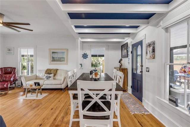 dining room featuring ceiling fan, a wealth of natural light, light hardwood / wood-style floors, and crown molding