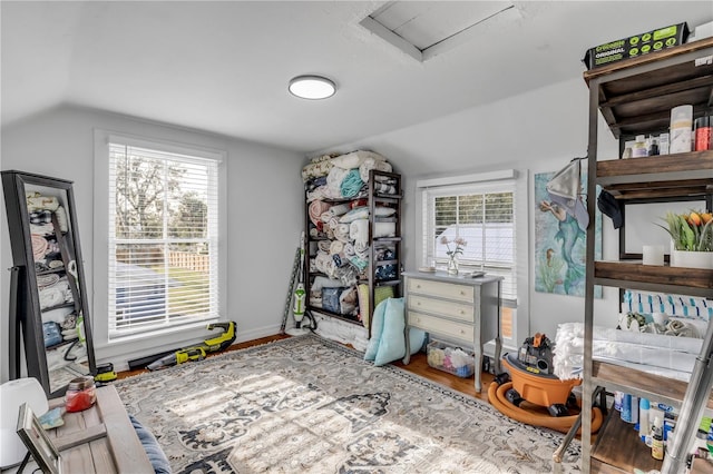 interior space featuring wood-type flooring, plenty of natural light, and vaulted ceiling