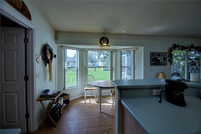 dining space featuring hardwood / wood-style floors