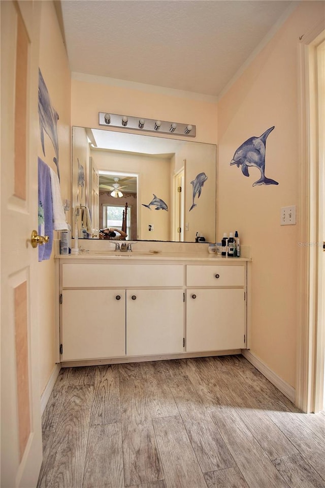 bathroom with vanity and wood-type flooring